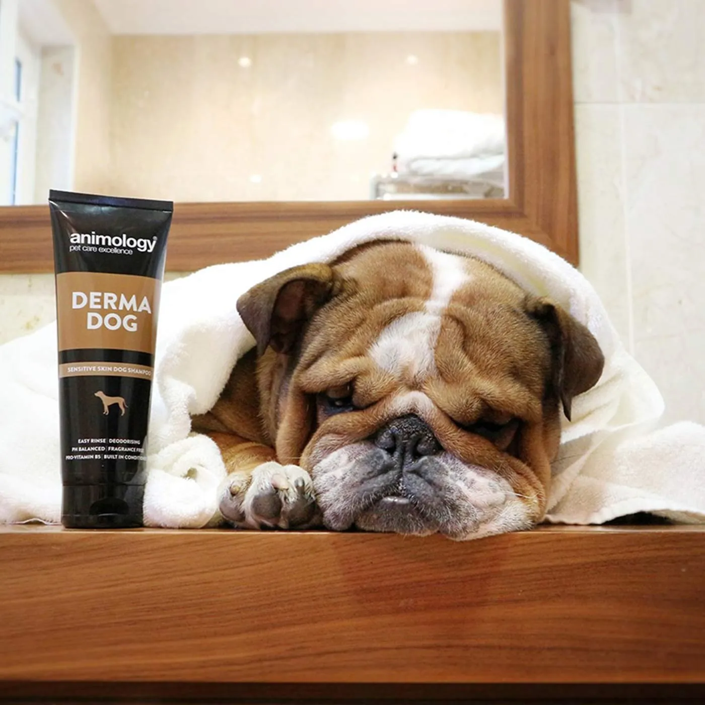 Animology Derma Dog Shampoo