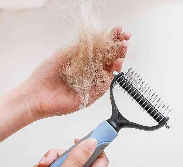 Dog or Cat Hair Brush