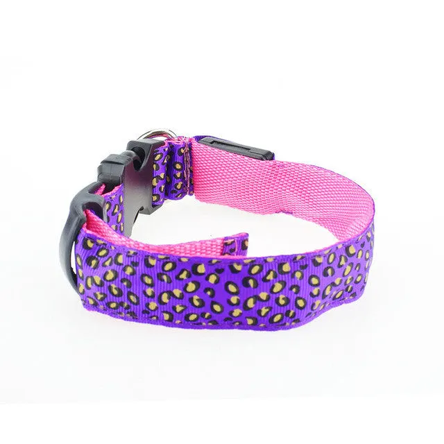 Dogstory Adjustable New Style Leopard Glow Cat Dog Collar Nylon Dog Harness Night Safe Flashing Pet Collars Fashion Accessories