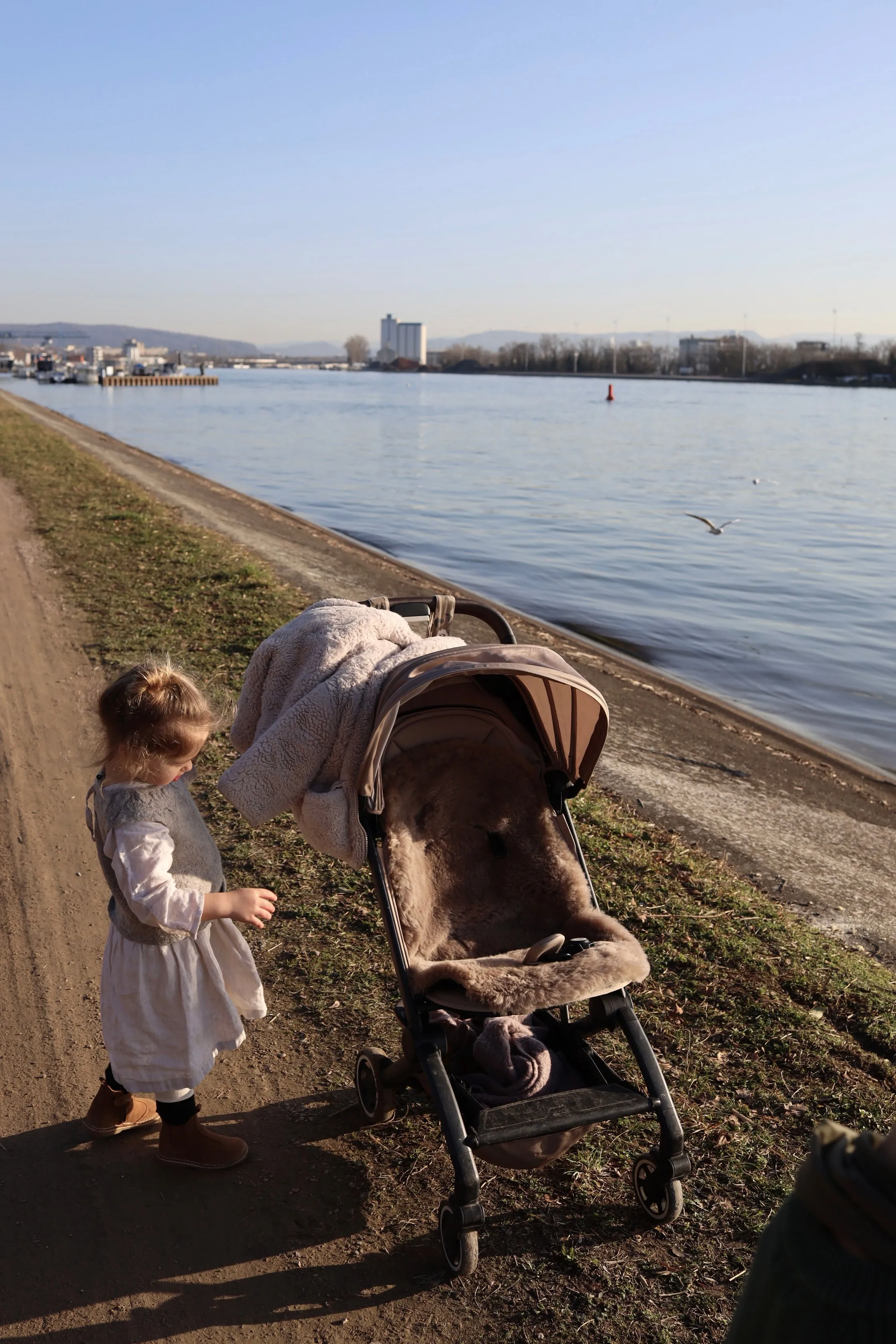 Greige Natural Sheepskin Stroller Liner