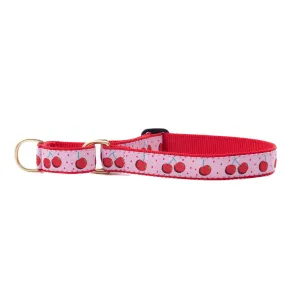 Martingale Collar | Cherries