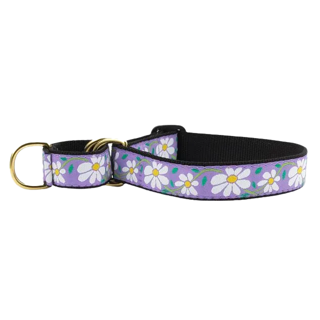 Martingale Collar | Daisy