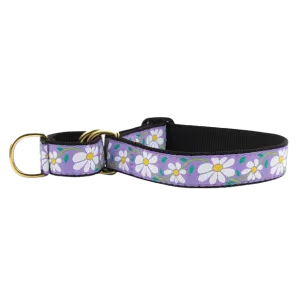 Martingale Collar | Daisy