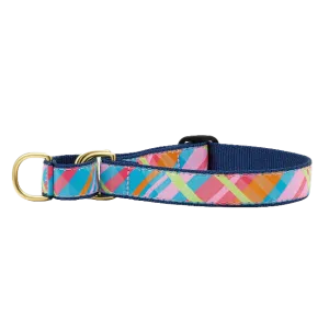 Martingale Collar | Pink Madras