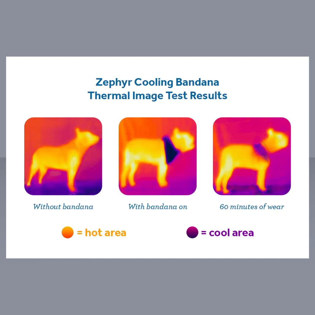 RC Pet Zephyr Cooling Bandana Aqua M/L