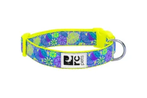 RC Pets Clip Collar - Citrus